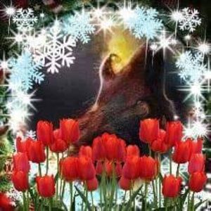 Meet your Posher, Martha